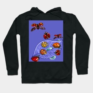 A group of lady bugs is called a loveliness - purple background Hoodie